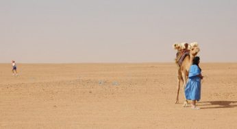 Arena del Sahara alcanzara a los Laredos