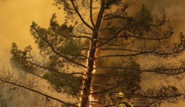 Bomberos combaten gran incendio forestal en California