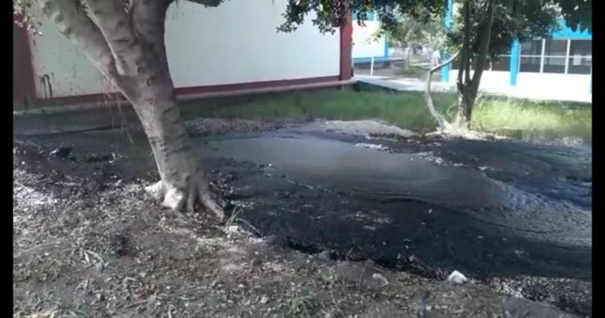 Brota petróleo en patios del CBTIS 105, en Altamira