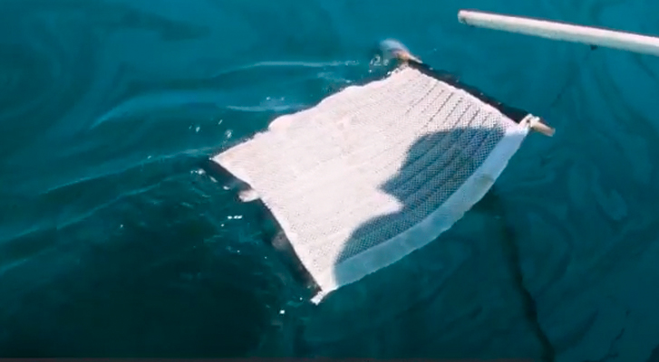 Crean una esponja que limpia los derrames de petróleo en el mar