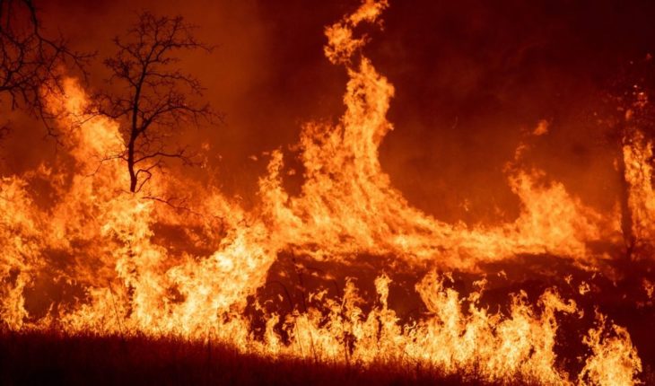El fuego también devora a California: un muerto y varios evacuados