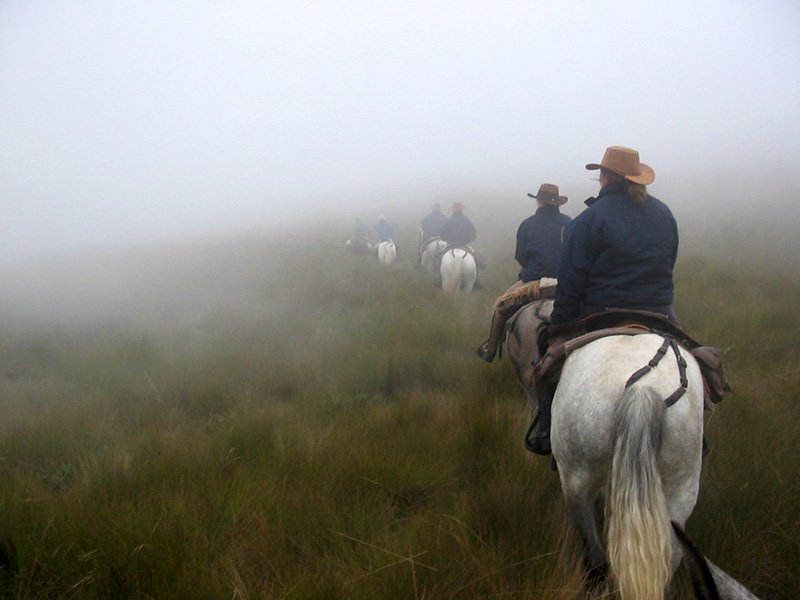 Enjoy the landscapes of the páramo, just an hour outside of Quito. #Travel #Ecuador #Horsebackriding ...
