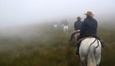 Enjoy the landscapes of the páramo, just an hour outside of Quito. #Travel #Ecuador #Horsebackriding …