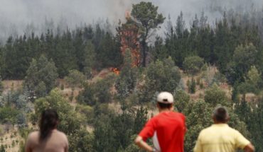 FNE denunció cartel de empresas de combate y extinción de incendios forestales ante el TDLC