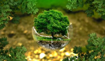 Kyocera: cómo ser responsable con la ecología