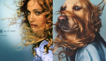 Maxdonna el perro que recrea icónicas postales de la reina del pop