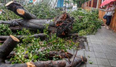 Tifón deja 1 muerto, 3 heridos y más de 55 mil casas sin luz