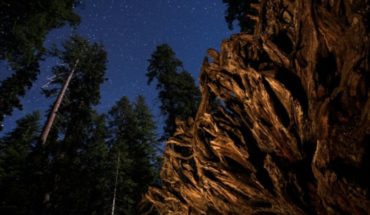 Un paraíso terrenal: las secoyas de Yosemite bajo las estrellas