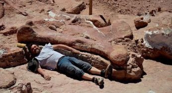Video: Hallan al dianosaurio gigante más grande de la Tierra
