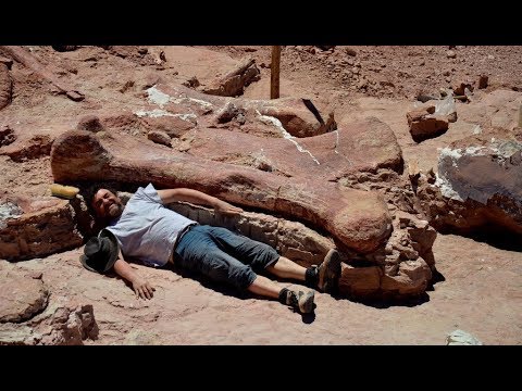 Hallan al dianosaurio gigante más grande de la Tierra