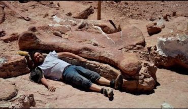 Video: Hallan al dianosaurio gigante más grande de la Tierra