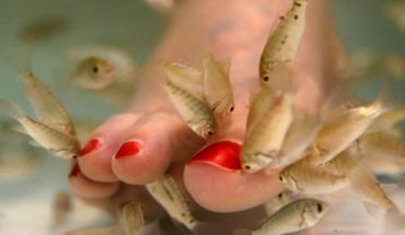 ¡Horror! Pierde las uñas por una pedicura con peces