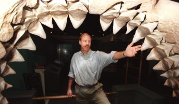 Cómo era el megalodón, el gigantesco tiburón traído al cine