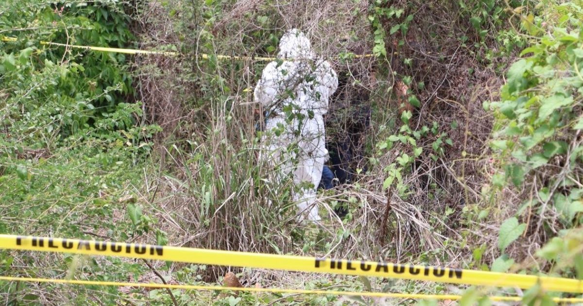 Encuentran cuerpo sin vida en huerta de mangos de Villa Unión