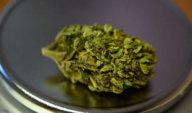 Oklahoma estudiará nuevas normas sobre marihuana medicinal