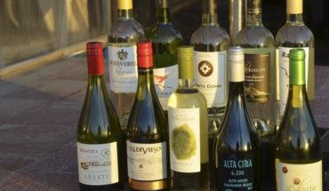Sauvignon Blanc 2018: los nuevos protagonistas del Valle de Curicó
