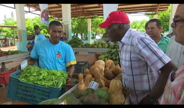 Video: Salvador Valdés Mesa visitó varios polos agrícolas en la capital