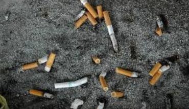 translated from Spanish: 4.5 trillion cigarette butts each year pollute nature