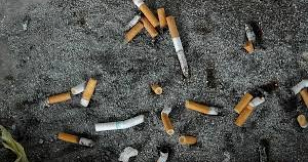 4.5 trillion cigarette butts each year pollute nature