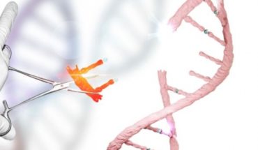 translated from Spanish: Cómo CRISPR, las “tijeras genéticas” que prometen revolucionar la medicina, fueron halladas por pura casualidad