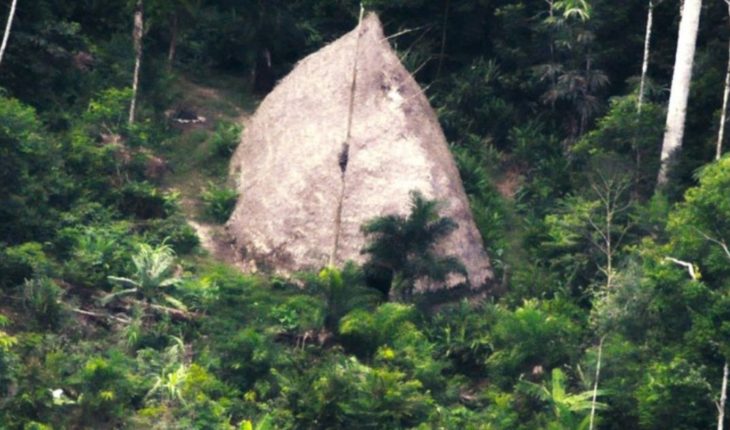 translated from Spanish: Drones capture isolated tribe in the Brazilian Amazon