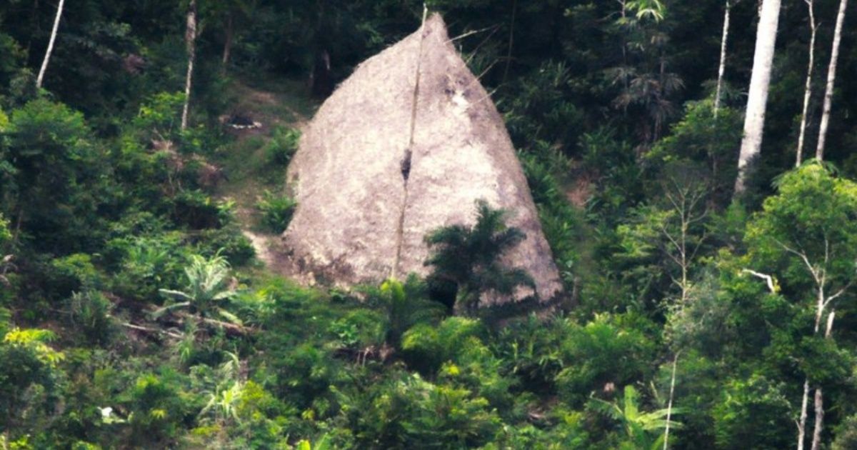 Drones capture isolated tribe in the Brazilian Amazon