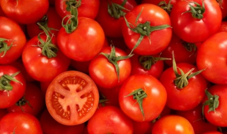 translated from Spanish: El tomate sería beneficioso para la salud pulmonar