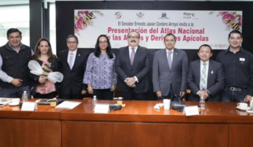 translated from Spanish: Mexico boasts of the first atlas of bees