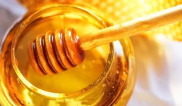 translated from Spanish: Veterinarios alertan sobre los cuidados que se deben tener en la producción de miel y posibles daños a la salud humana si no hay control