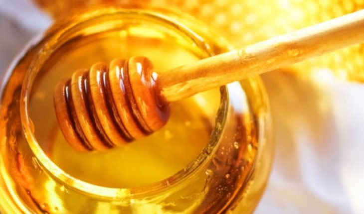 translated from Spanish: Veterinarios alertan sobre los cuidados que se deben tener en la producción de miel y posibles daños a la salud humana si no hay control