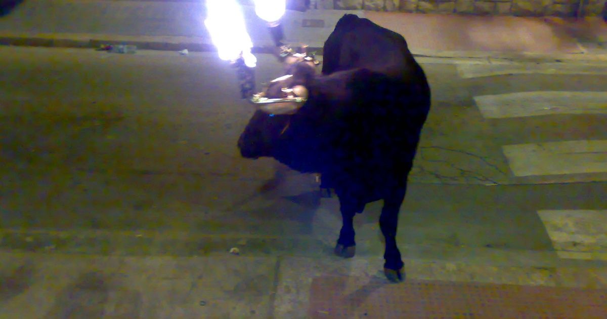 Video: Toro asustado con los cuernos en llamas embiste a mujer