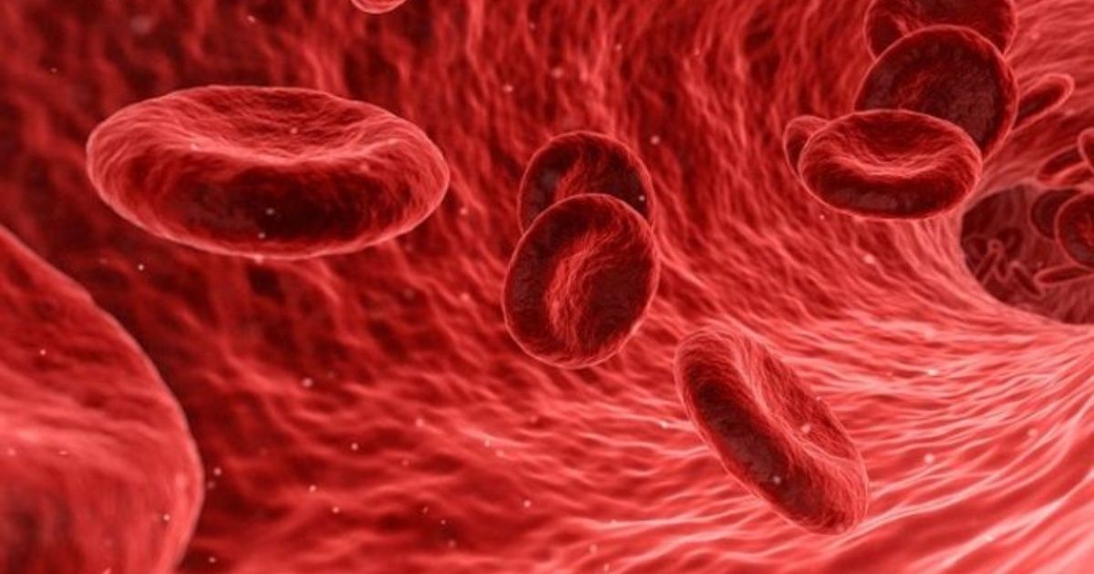 Diagnóstico oportuno y tratamientos innovadores, retos de la hemofilia