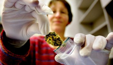 En polémica, uso de cannabis medicinal para menores en P. Rico