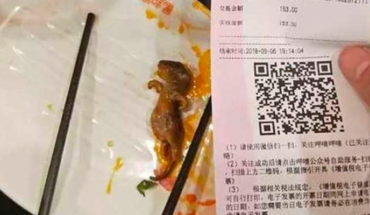 Encuentra una rata en su sopa y restaurante chino le paga 190 millones de dólares