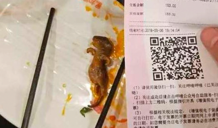 Encuentra una rata en su sopa y restaurante chino le paga 190 millones de dólares