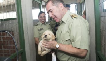 Hermes Soto visitó la Escuela de Adiestramiento Canino tras exitoso desfile de cachorros en la Parada Militar
