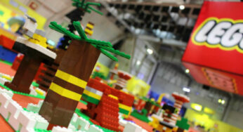 Lego se suma a la conservación del ambiente y anuncia que sus bloques dejarán de ser de plástico