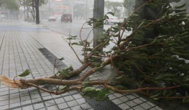 Más de 400 vuelos cancelados ante llegada del tifón Trami 