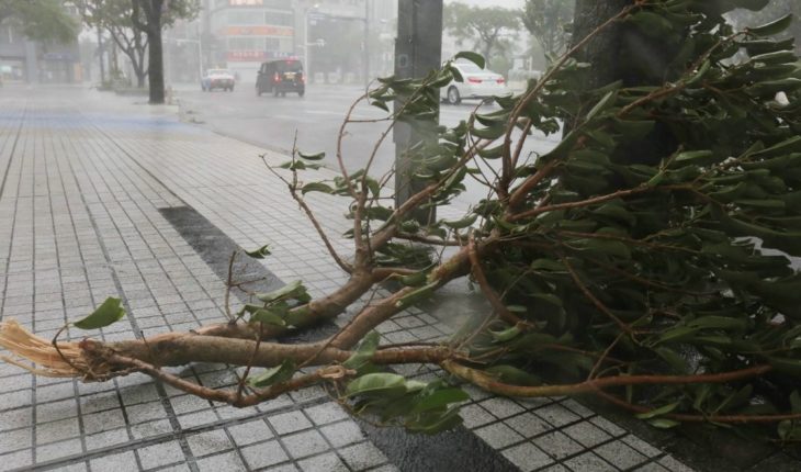 Más de 400 vuelos cancelados ante llegada del tifón Trami 