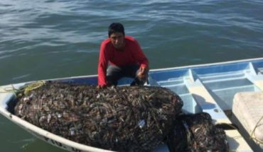 Pescadores de Dautillos y Altata reportan hasta 700 kilos por embarcación