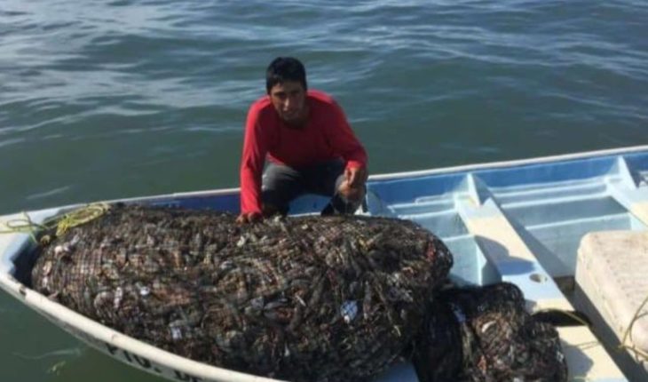 Pescadores de Dautillos y Altata reportan hasta 700 kilos por embarcación