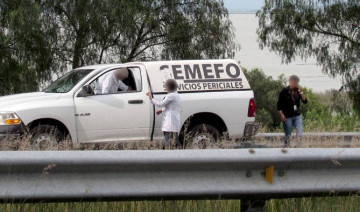 translated from Spanish: Encuentran a un hombre ejecutado en una brecha de Zamora, Michoacán