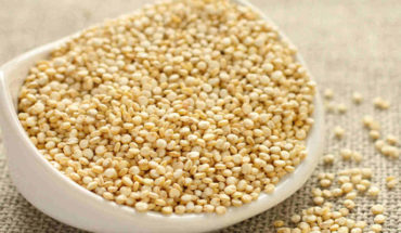 translated from Spanish: Everything you need to know about amaranth