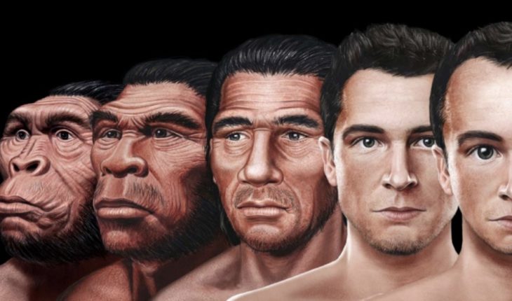 translated from Spanish: How would the face of the man of the future, according to evolution?