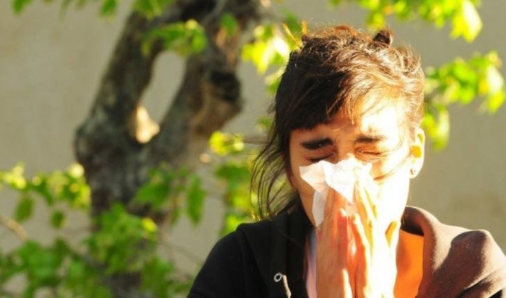 translated from Spanish: What are allergies and why increase in September?