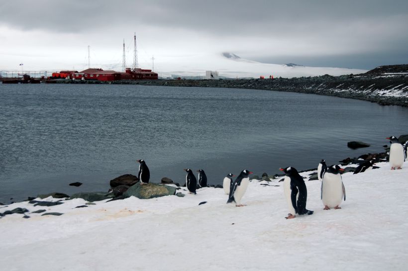 Científico ruso apuñaló a otro mientras cenaban en una base de la Antártida
