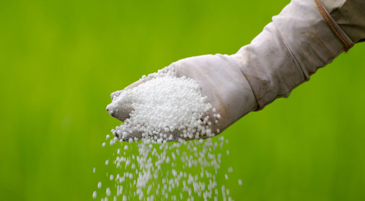 Comunidades p´urhépecha acusan a Sedrua de entregar fertilizantes de mala calidad
