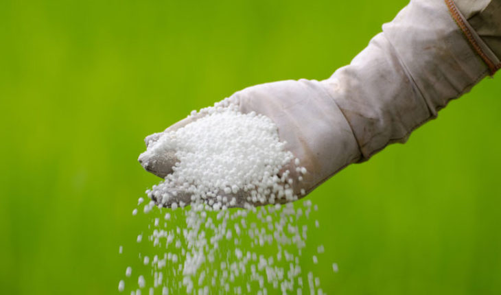 Comunidades p´urhépecha acusan a Sedrua de entregar fertilizantes de mala calidad