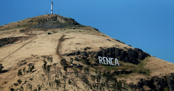 Con reforestación del Cerro Renca continuó escuela de Formación de la JDC