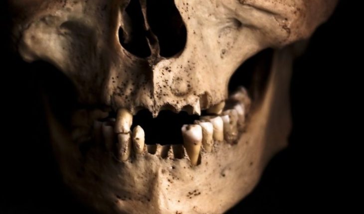 Hallan 1.000 dientes humanos dentro de una pared (Fotos)